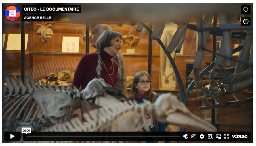 Citeo "On ne lâche rien" saga